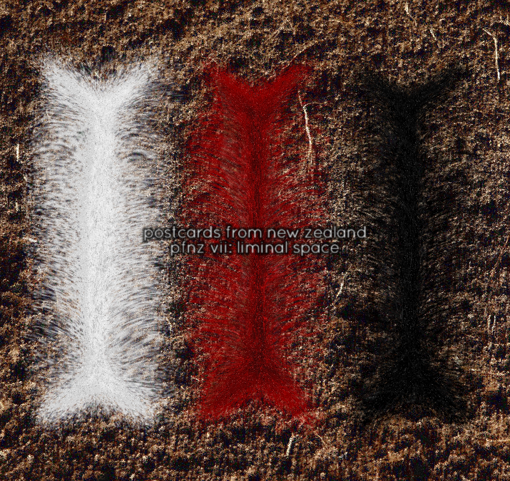 postcards from new zealand stream liminal space at Doomed & Stoned