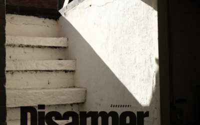 CANYONEER Announce Ambient And Progressive EP Disarmer