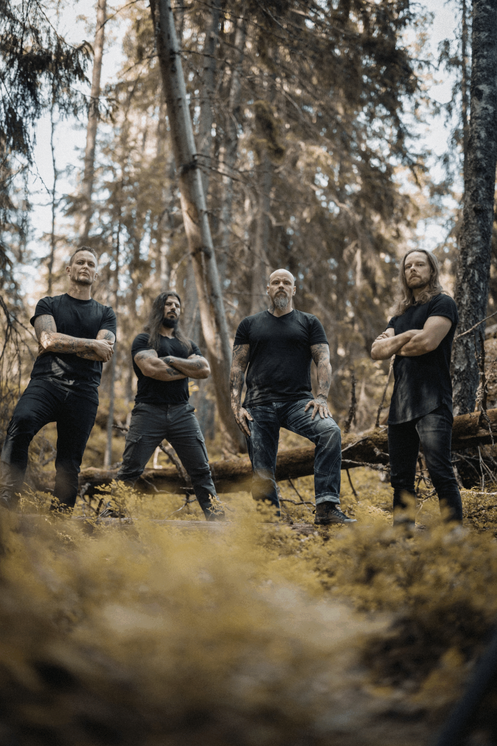 WOLFHEART Returns With EU Tour and New Single, “Carnivore”, Ahead Of New EP Draconian Darkness II